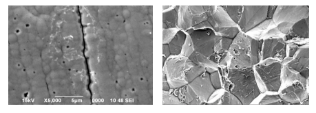 材料斷口微觀特征形態及成分